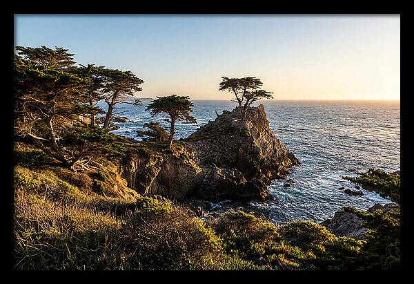 Torrey Pines Coastal Serenity