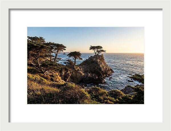 Torrey Pines Coastal Serenity