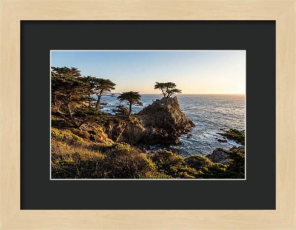 Torrey Pines Coastal Serenity