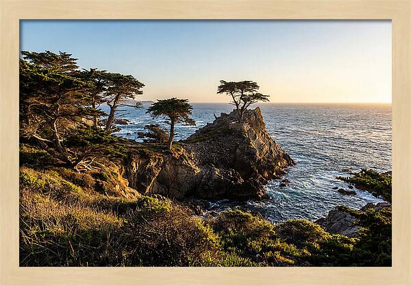 Torrey Pines Coastal Serenity