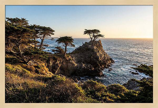 Torrey Pines Coastal Serenity