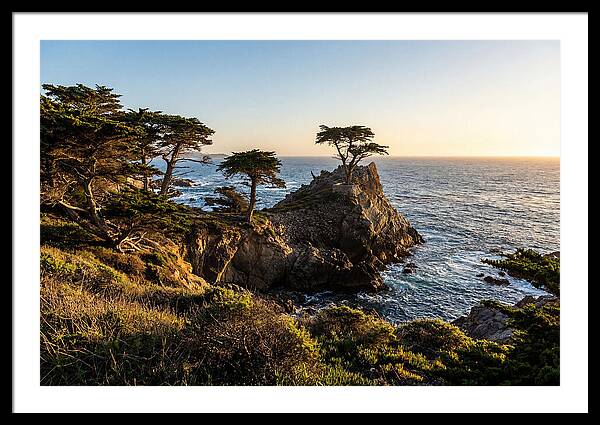 Torrey Pines Coastal Serenity