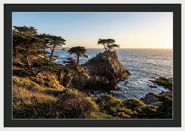 Torrey Pines Coastal Serenity