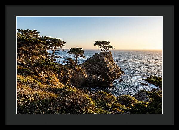 Torrey Pines Coastal Serenity