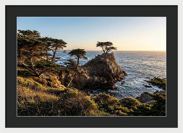 Torrey Pines Coastal Serenity