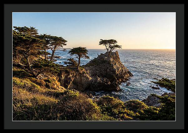 Torrey Pines Coastal Serenity