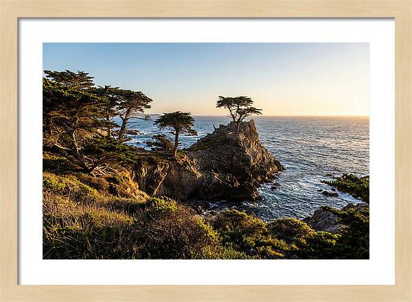 Torrey Pines Coastal Serenity
