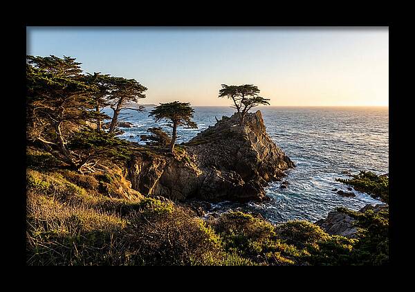 Torrey Pines Coastal Serenity