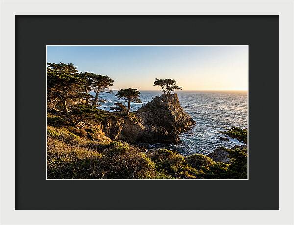 Torrey Pines Coastal Serenity