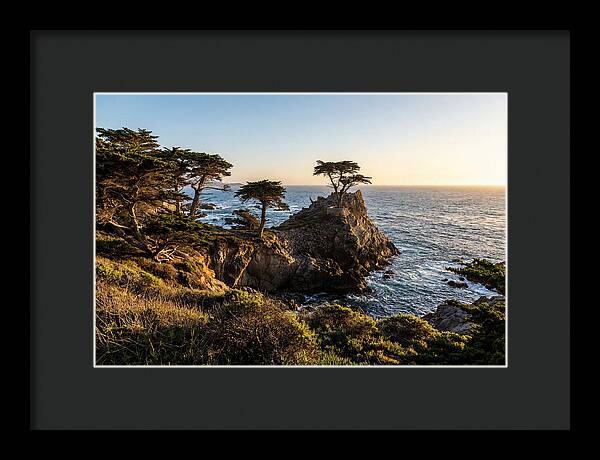 Torrey Pines Coastal Serenity