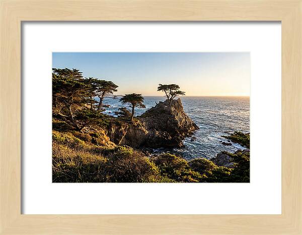 Torrey Pines Coastal Serenity