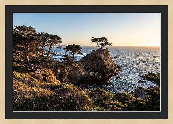 Torrey Pines Coastal Serenity