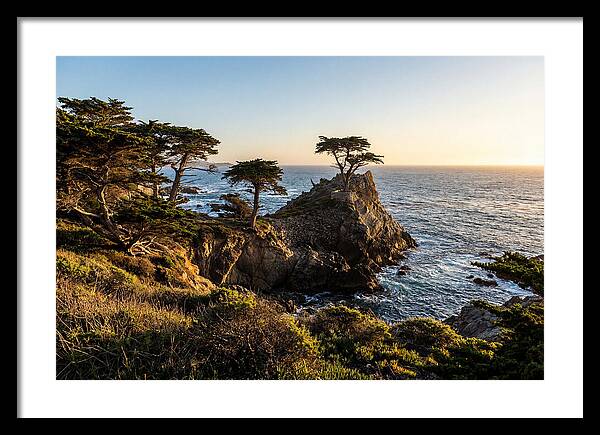 Torrey Pines Coastal Serenity