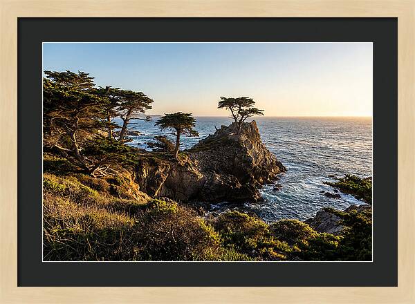 Torrey Pines Coastal Serenity