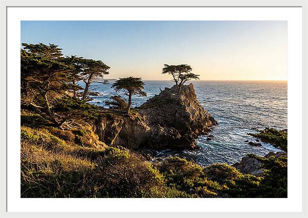Torrey Pines Coastal Serenity