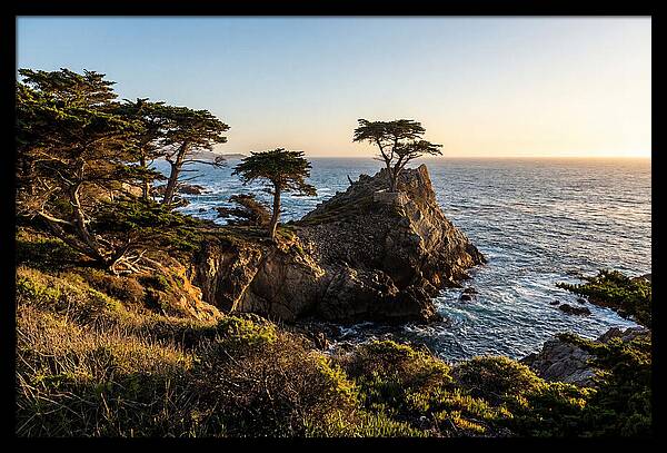 Torrey Pines Coastal Serenity