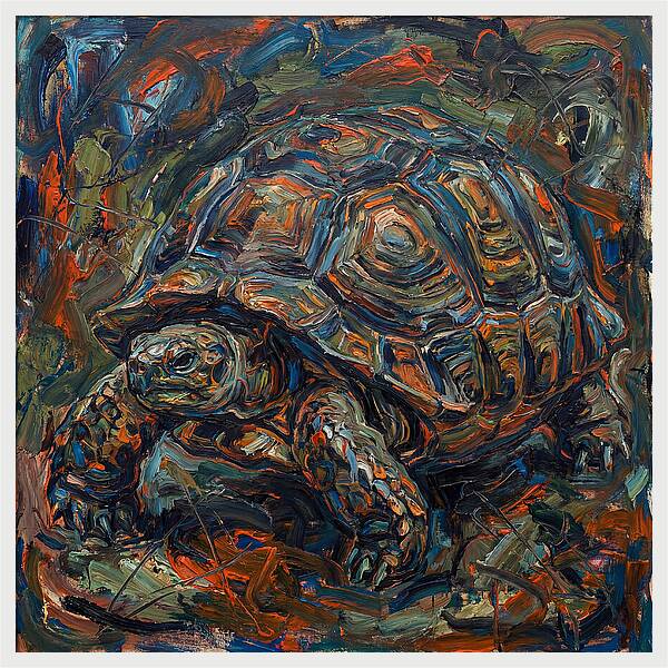 Tortoise In Expressionist Style