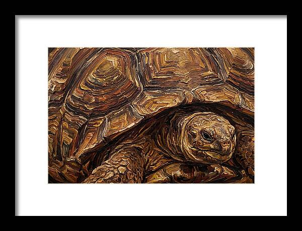 Tortoise In Rich Textures