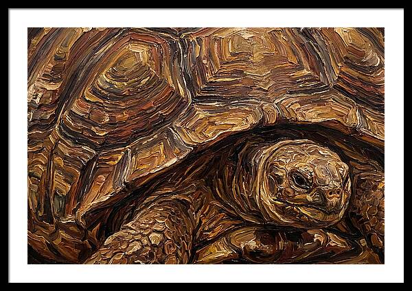 Tortoise In Rich Textures
