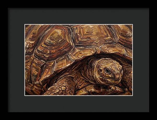 Tortoise In Rich Textures