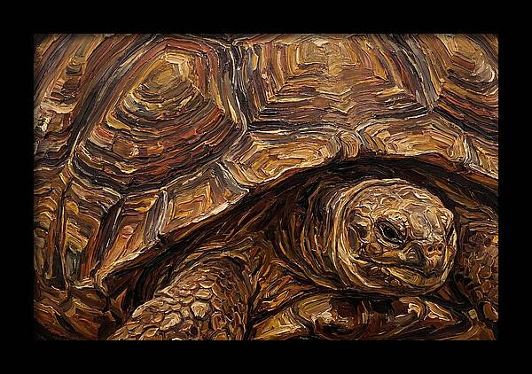 Tortoise In Rich Textures