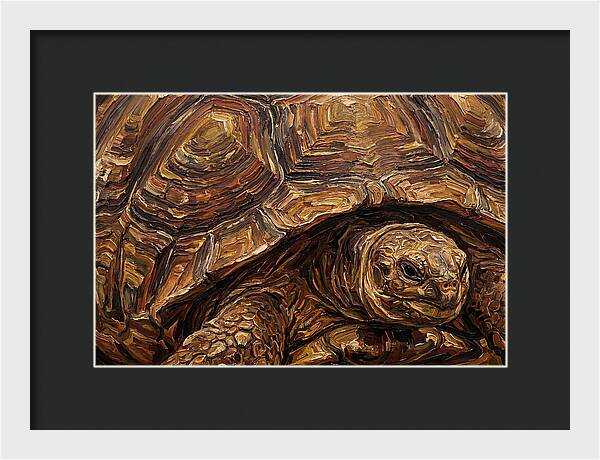 Tortoise In Rich Textures