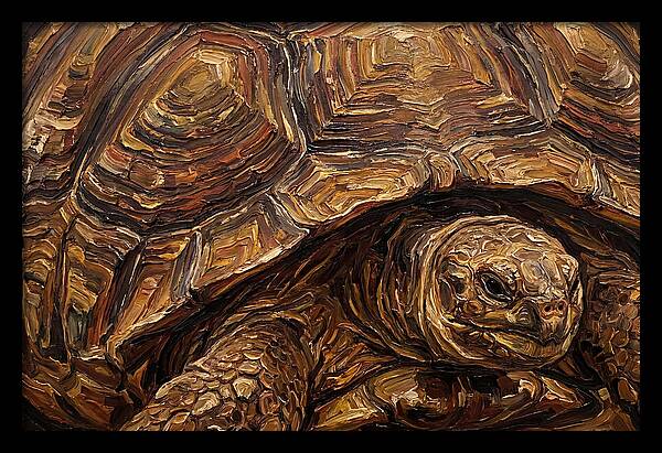 Tortoise In Rich Textures