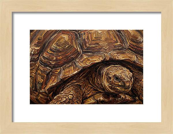 Tortoise In Rich Textures