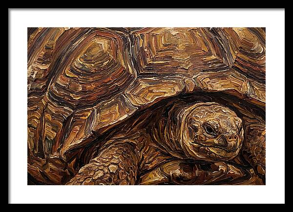 Tortoise In Rich Textures