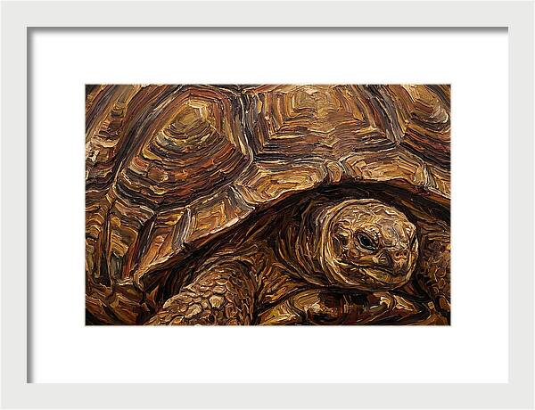 Tortoise In Rich Textures