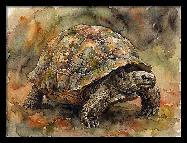 Tortoise In Watercolor Elegance
