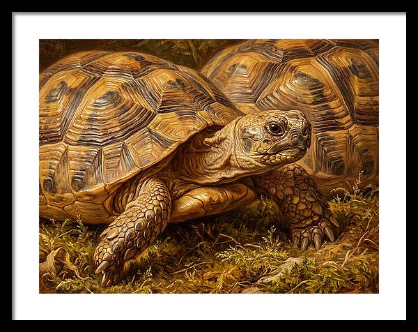 Tortoise Realism In Nature