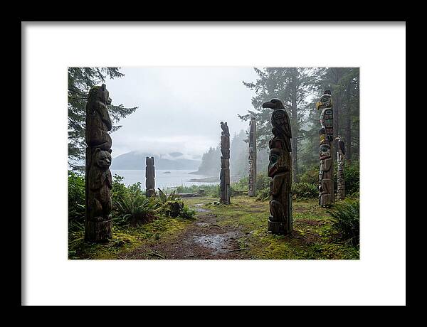 Totem Bight Forest Vista