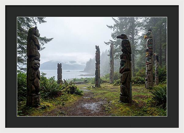 Totem Bight Forest Vista