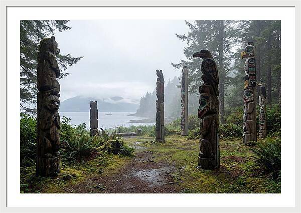 Totem Bight Forest Vista