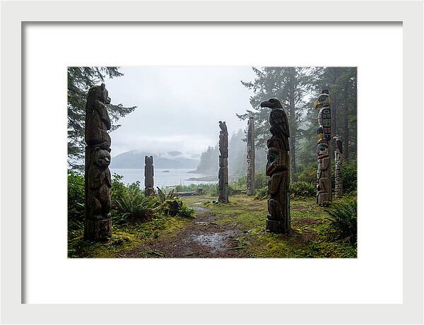 Totem Bight Forest Vista