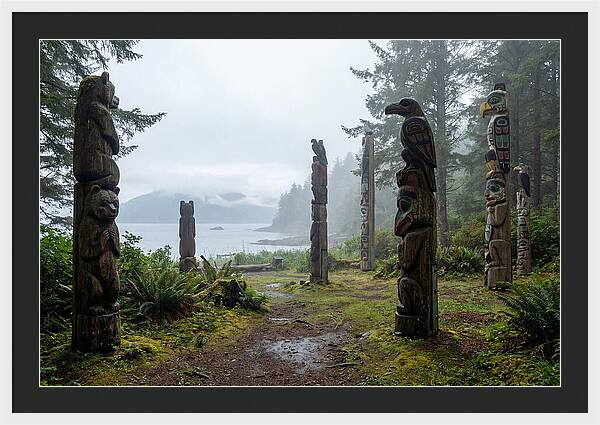 Totem Bight Forest Vista