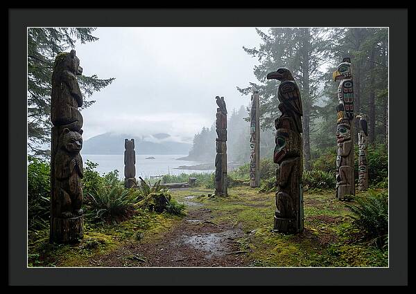 Totem Bight Forest Vista