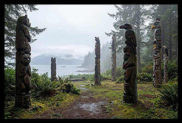 Totem Bight Forest Vista