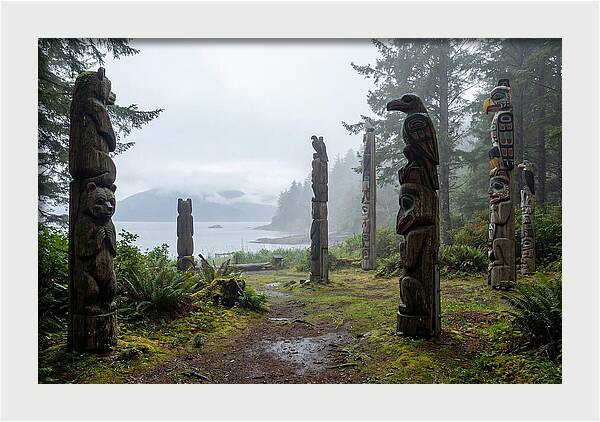 Totem Bight Forest Vista