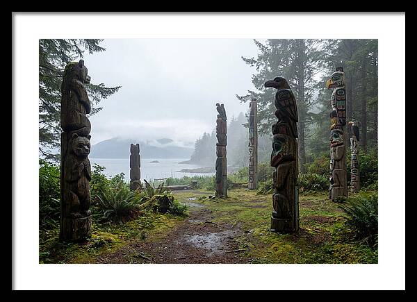 Totem Bight Forest Vista
