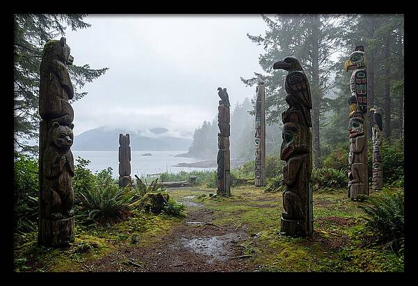 Totem Bight Forest Vista