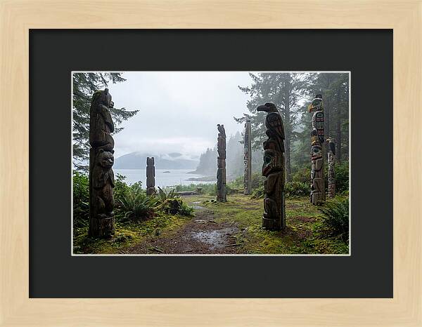 Totem Bight Forest Vista
