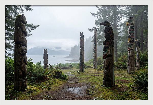 Totem Bight Forest Vista