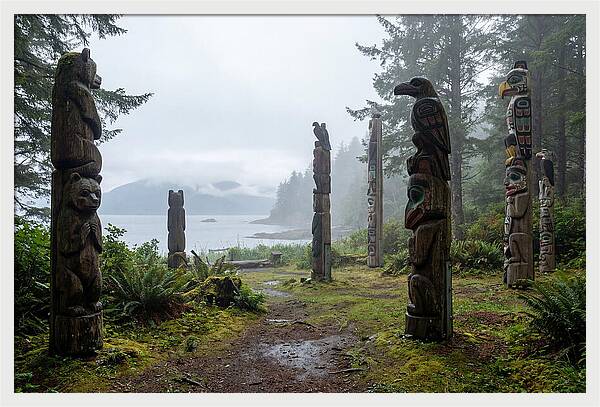 Totem Bight Forest Vista