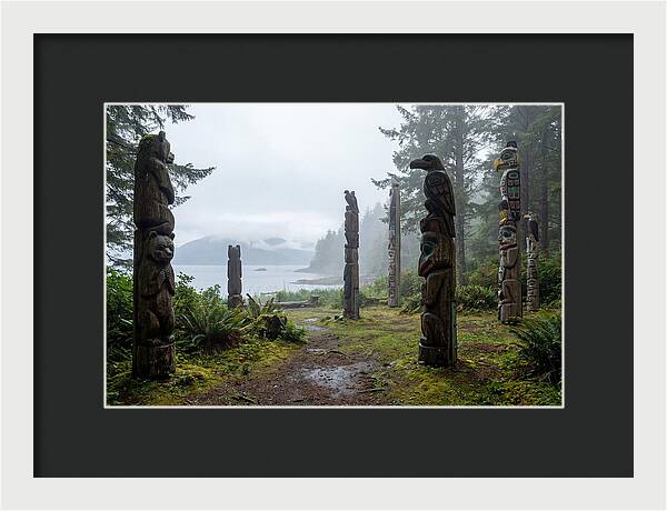 Totem Bight Forest Vista