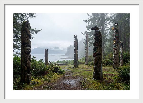 Totem Bight Forest Vista