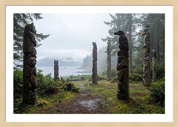 Totem Bight Forest Vista