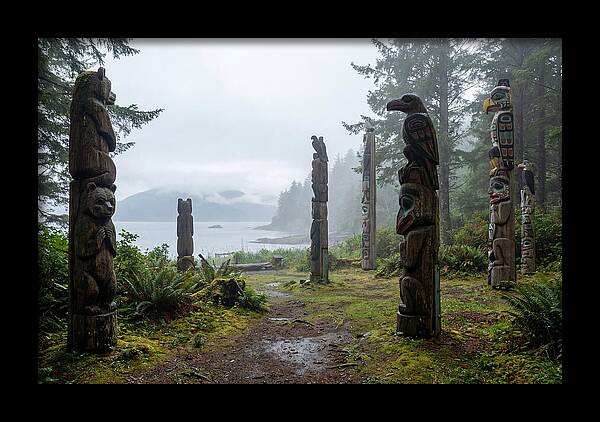 Totem Bight Forest Vista