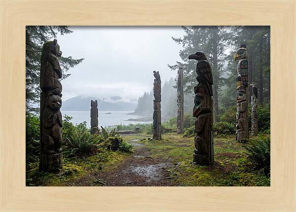 Totem Bight Forest Vista